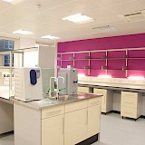 Breast Cancer Research Labs