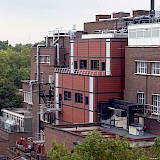 School Of Pharmacy