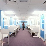 UCL Anatomy